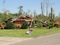 This house on Linda Street suffered significant damage, with trees nearby uprooted and snapped ~ 486 kb